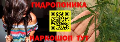 трава Аргун