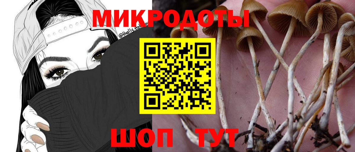 Галлюциногенные грибы Magic Shrooms Владикавказ